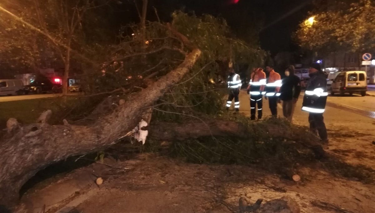 Fırtına elektrik direklerini devirdi, ağaçları kökünden söktü