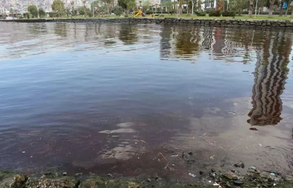 İzmir Körfezi’nde görüldü: Kızıl gelgit (red tide) nedir? - 2