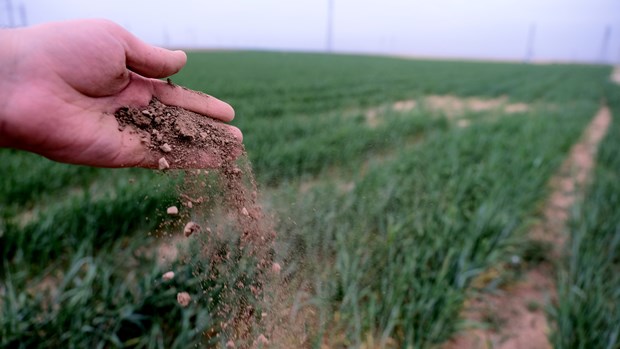 BİÇERDÖVERLER GİRMEYEBİLİR 15