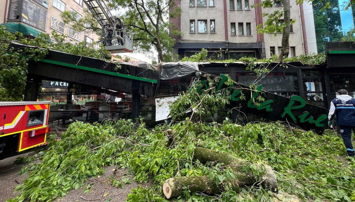Çınar ağacı kafenin üzerine devrildi