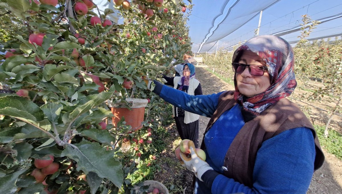 Karaman Türkiye'de birinci sırada yer alıyor: Üretimin yüzde 16'sı tek başına karşılanıyor Karaman Türkiye'de birinci sırada yer alıyor: Üretimin yüzde 16'sı tek başına karşılanıyor