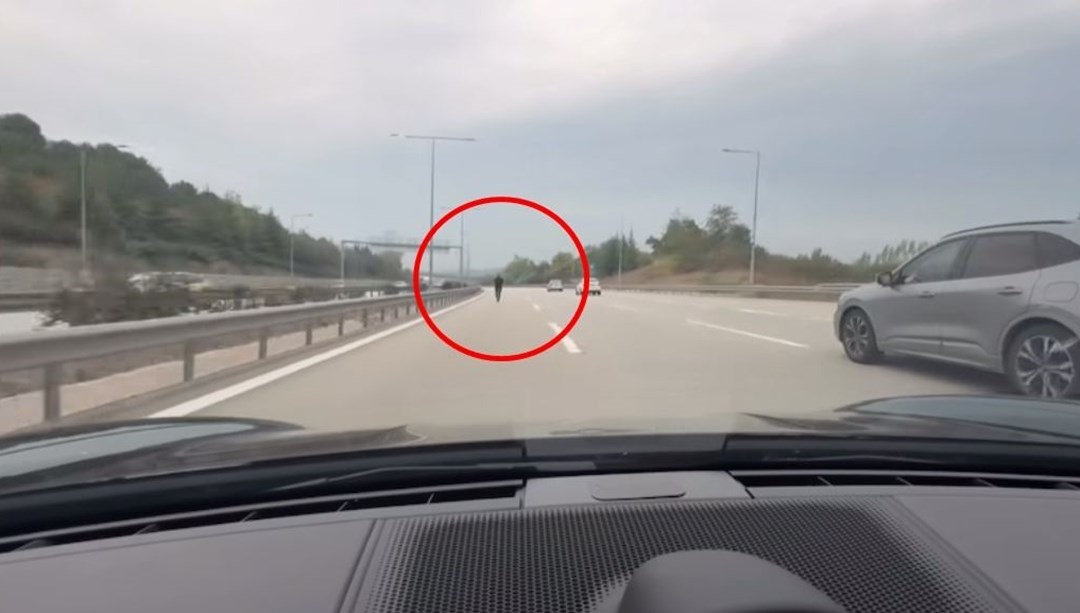 Otoyolun ortasında canı pahasına yürüdü