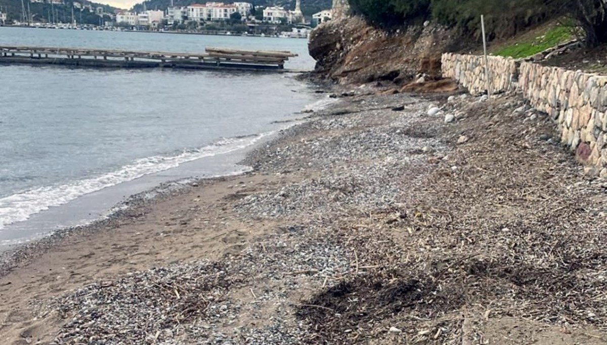 Rodos’un pisliği Datça’yı vurdu Rodos’un pisliği Datça’yı vurdu
