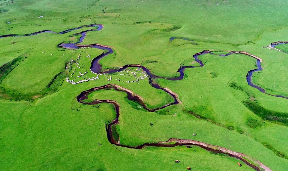 Karadeniz'in menderesleriyle ünlü Perşembe Yaylası doğaseverleri ağırlıyor - 1