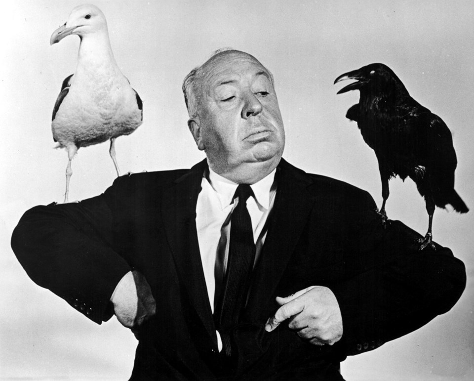 Alfred Hitchcock'un 'Kuşlar' isimli filmi Rize'de gerçek oldu - 1