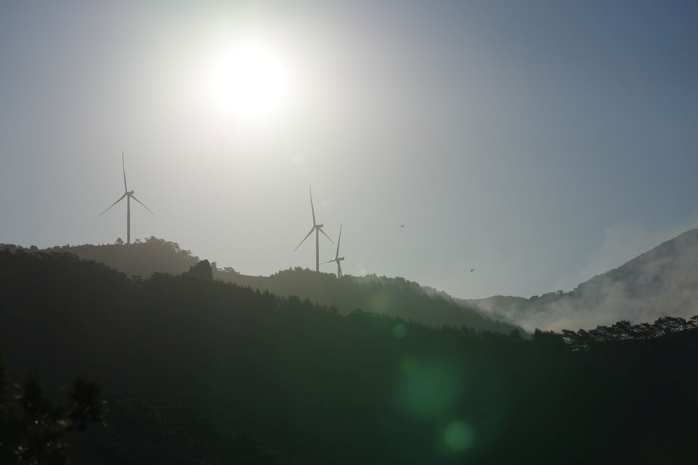 Orman yangınlarıyla mücadele | 8 noktada yangın devam ediyor, yerleşim yerleri tehdit altında - 19