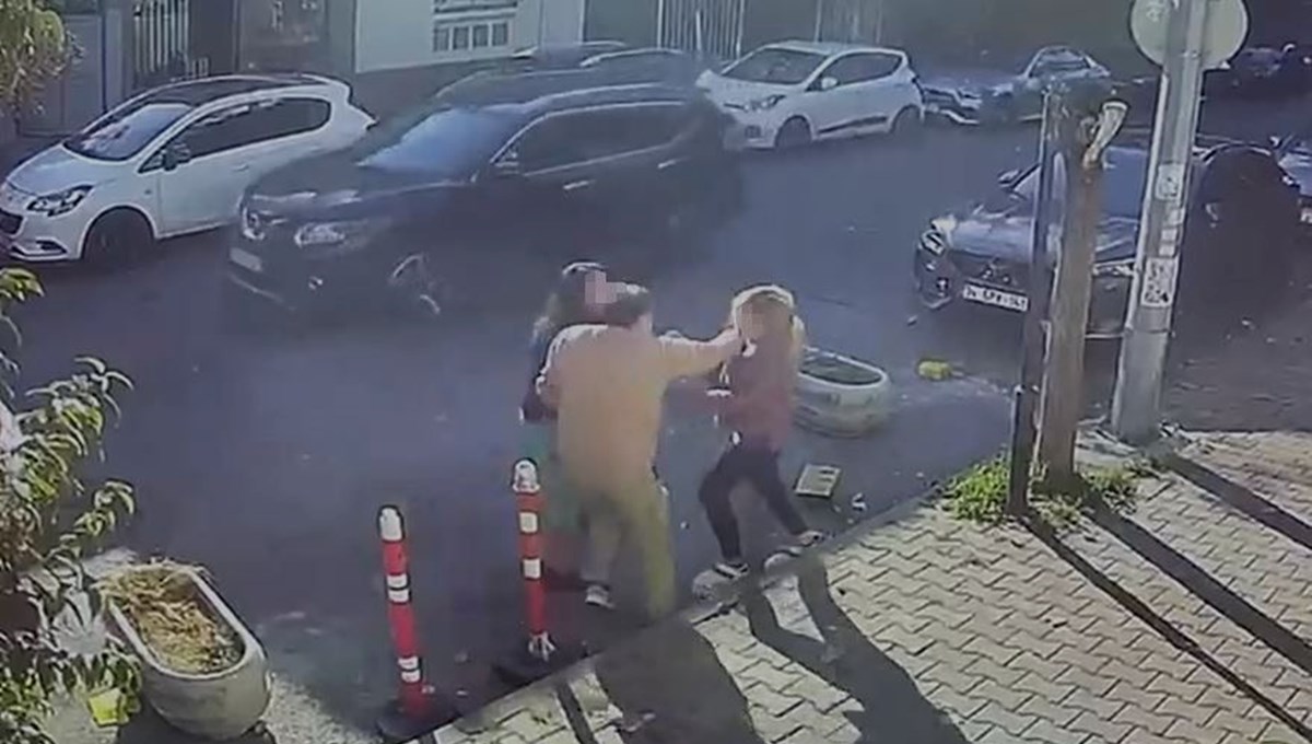 Kedisinin tıraşını beğenmeyen kadın, veterinere saldırdı: Seni hamile hamile dövdüm Kedisinin tıraşını beğenmeyen kadın, veterinere saldırdı: Seni hamile hamile dövdüm