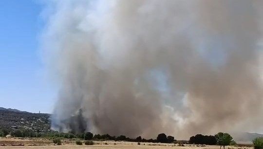 Diyarbakır'da dört noktada yangın: Müdahale sürüyor