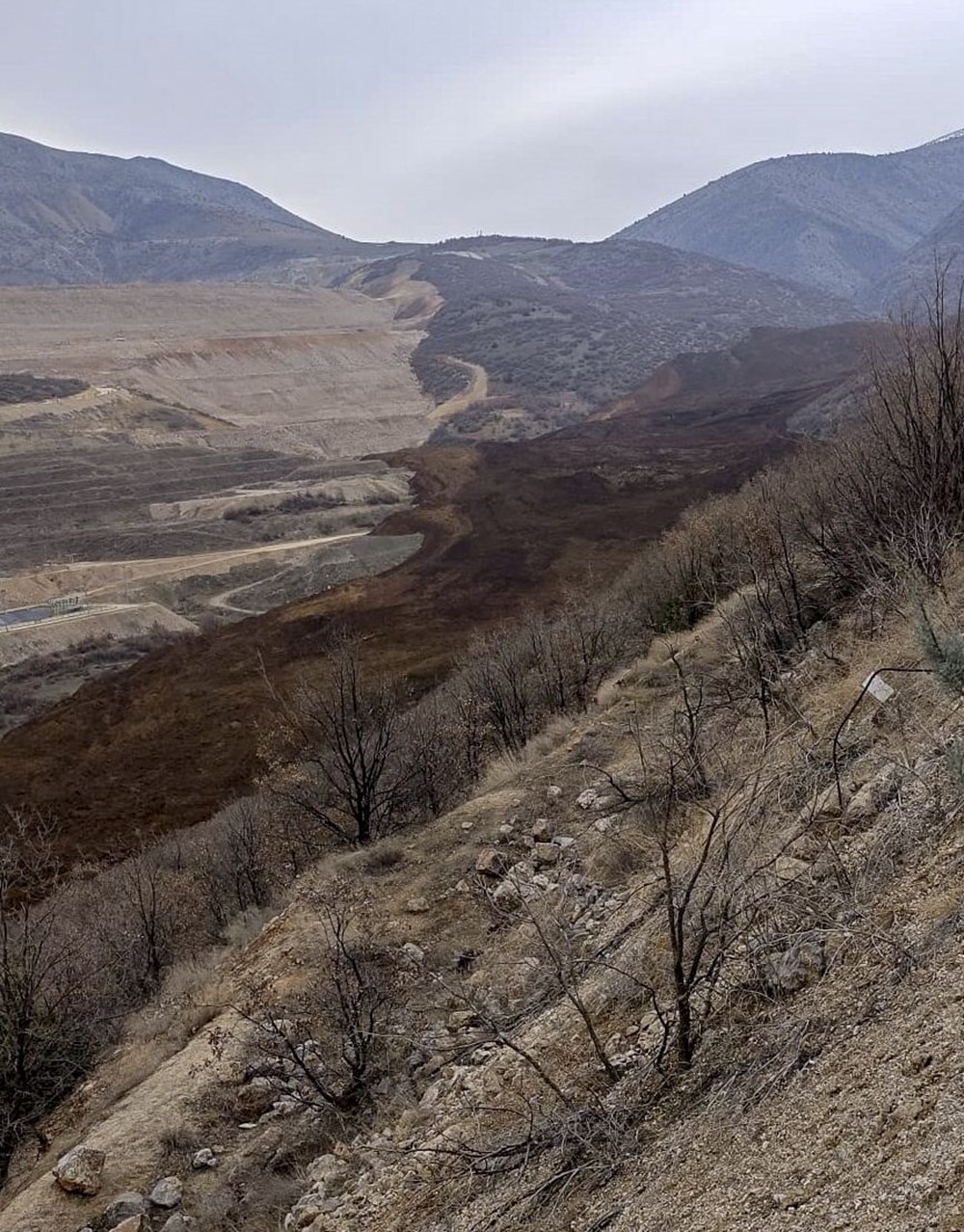 Erzincan'daki altın madeni faciası hakkında en son ne biliyoruz? Kaç işçi toprak altında, siyanür sızıntısı var mı, sahadaki son durum.... - 16
