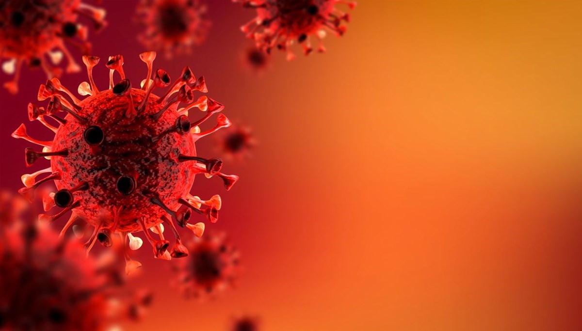 25 Kasım 2021 corona virüs tablosu: 222 can kaybı, 24 bin 467 yeni vaka