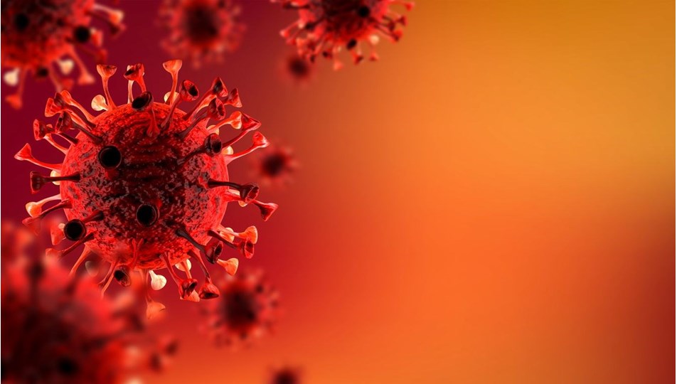 13 Ekim 2021 corona virüs tablosu: 236 can kaybı, 31 bin 248 yeni vaka