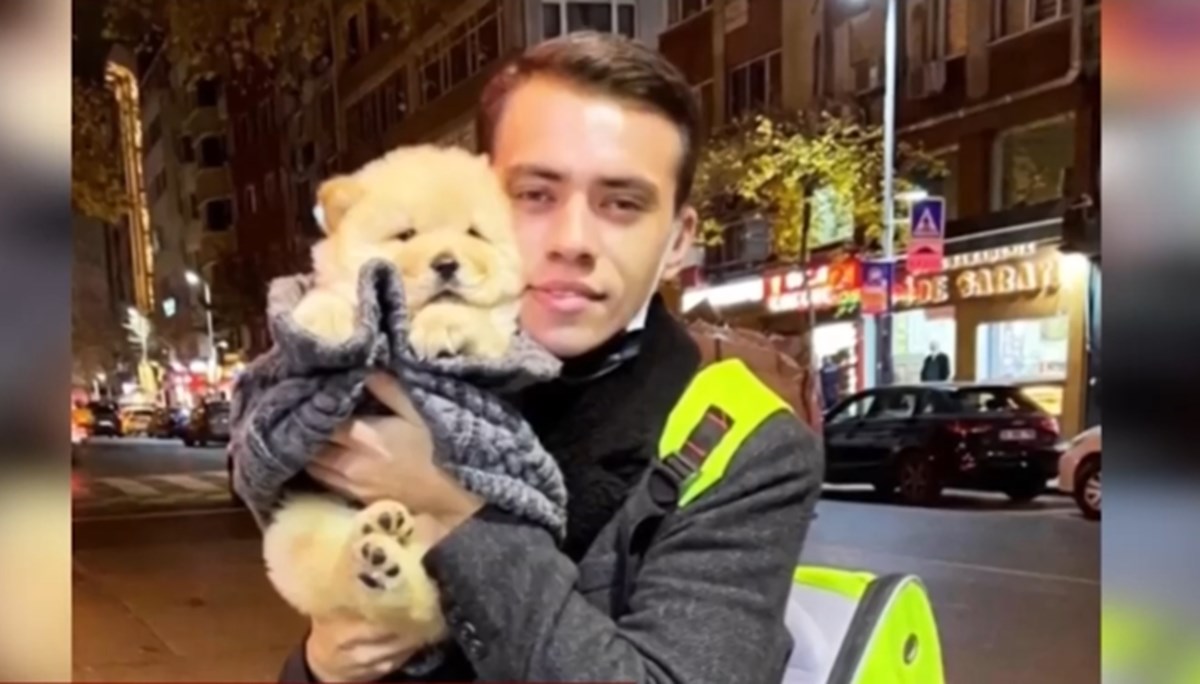 Sarıyer'de ev sahibi dehşeti: Kiracının köpeğine dayak iddiası Sarıyer'de ev sahibi dehşeti: Kiracının köpeğine dayak iddiası
