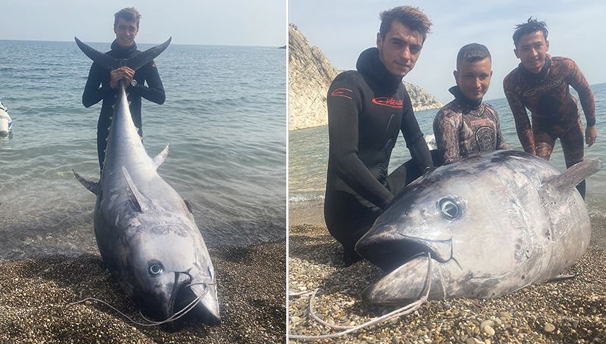 Zıpkınla 150 kiloluk balık avladılar Zıpkınla 150 kiloluk balık avladılar