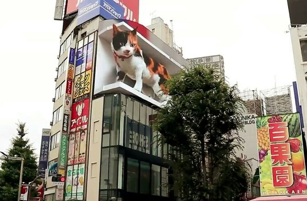 Tokyo's new guest 3D cat: Watching the city and greeting the public - 3
