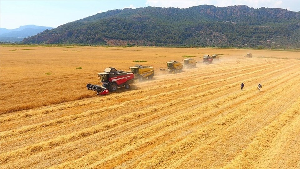 Emtia piyasası sert dalgalanmaların olduğu bir yılı geride bıraktı - 4