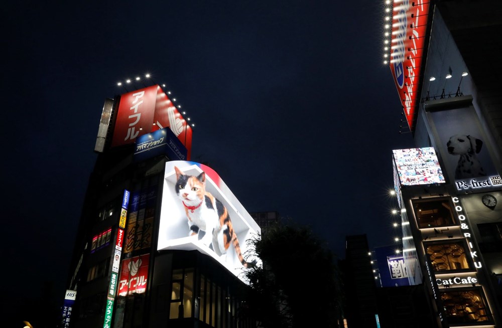 Tokyo's new guest 3D cat: He watches the city and greets the public - 1