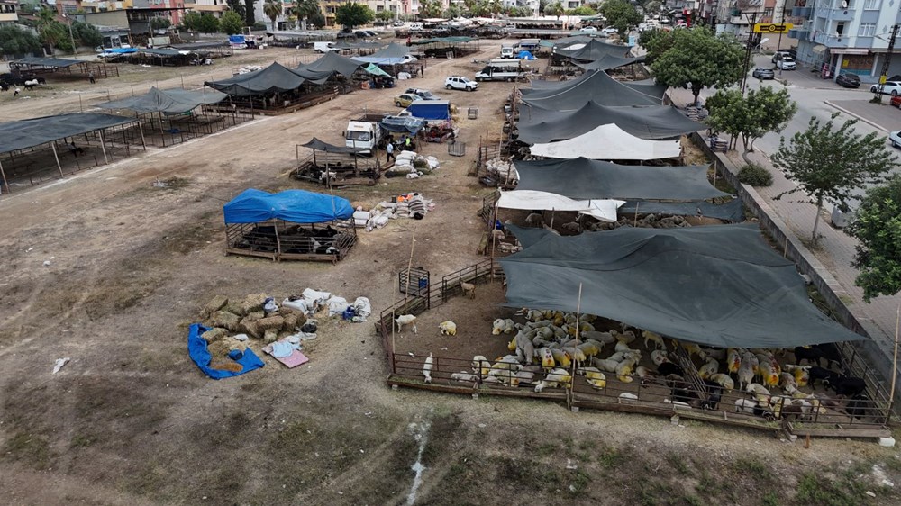 Kurbanlıklar görücüye çıktı: 13 bin liradan başlıyor 76 1svj2K aMkWPctgVX4u0BQ