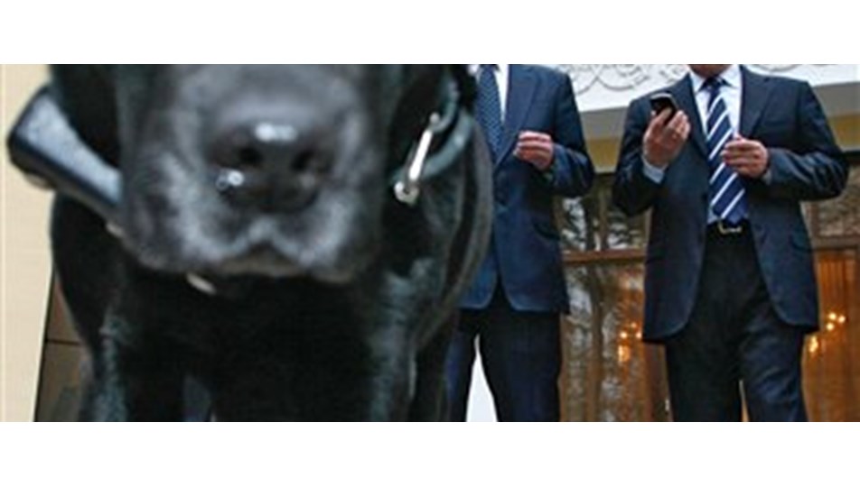 Putin�in köpeği konukların yiyeceklerini yedi Magazin Haberleri NTV