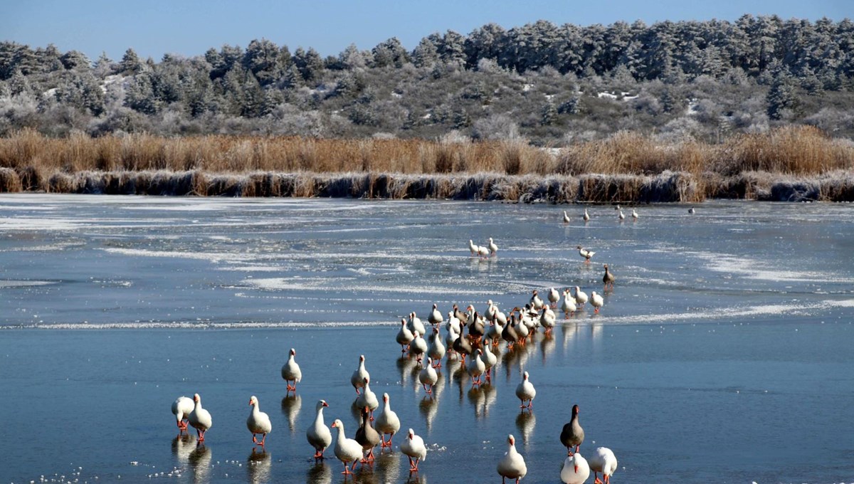 Denizli'de 'kuş cenneti' Yayla Gölü buz tuttu