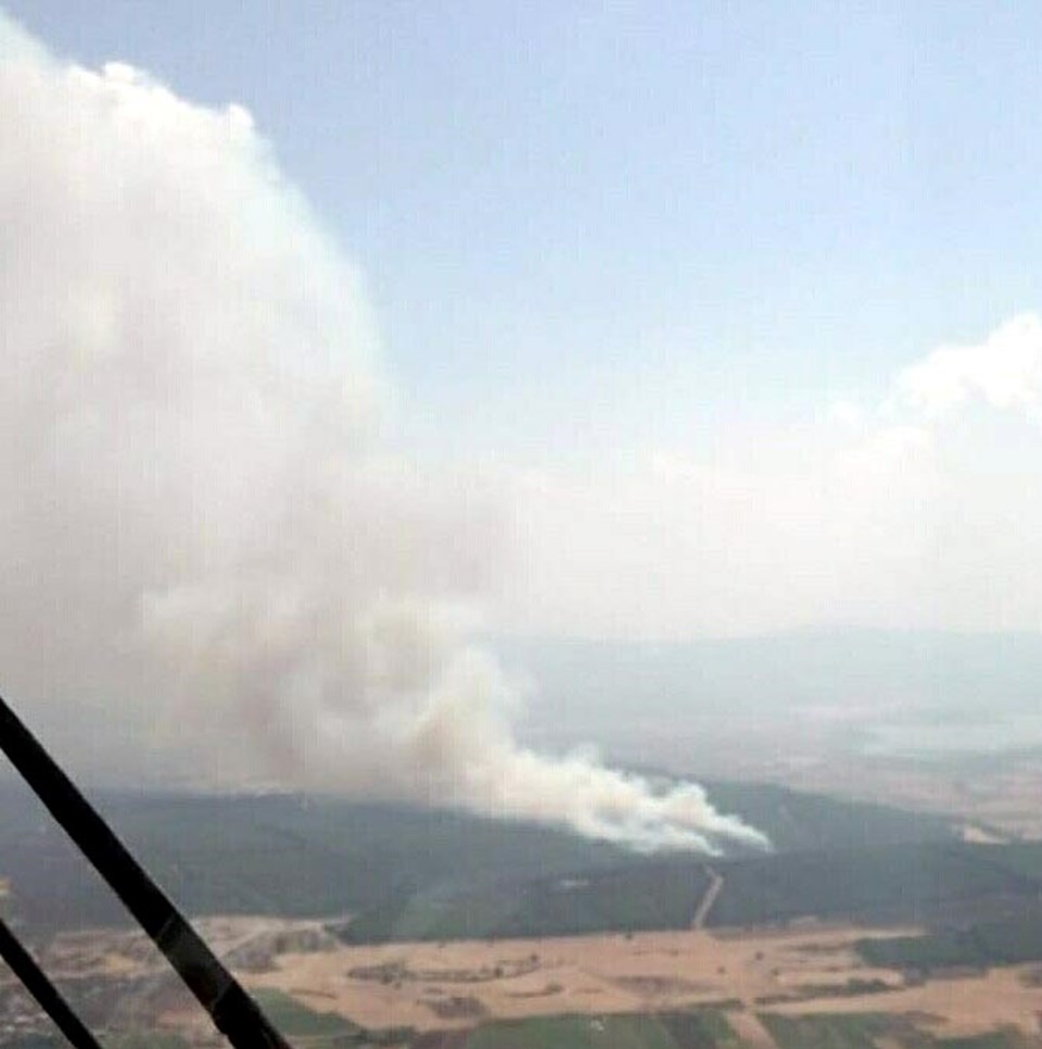 İzmir'de ağaçlandırma sahasındaki yangın söndürüldü - 1
