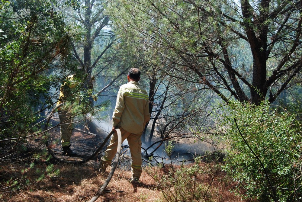 Balıkesir, Çanakkale, Antalya ve Uşak'ta orman yangını: Havadan ve karadan müdahale ediliyor - 4