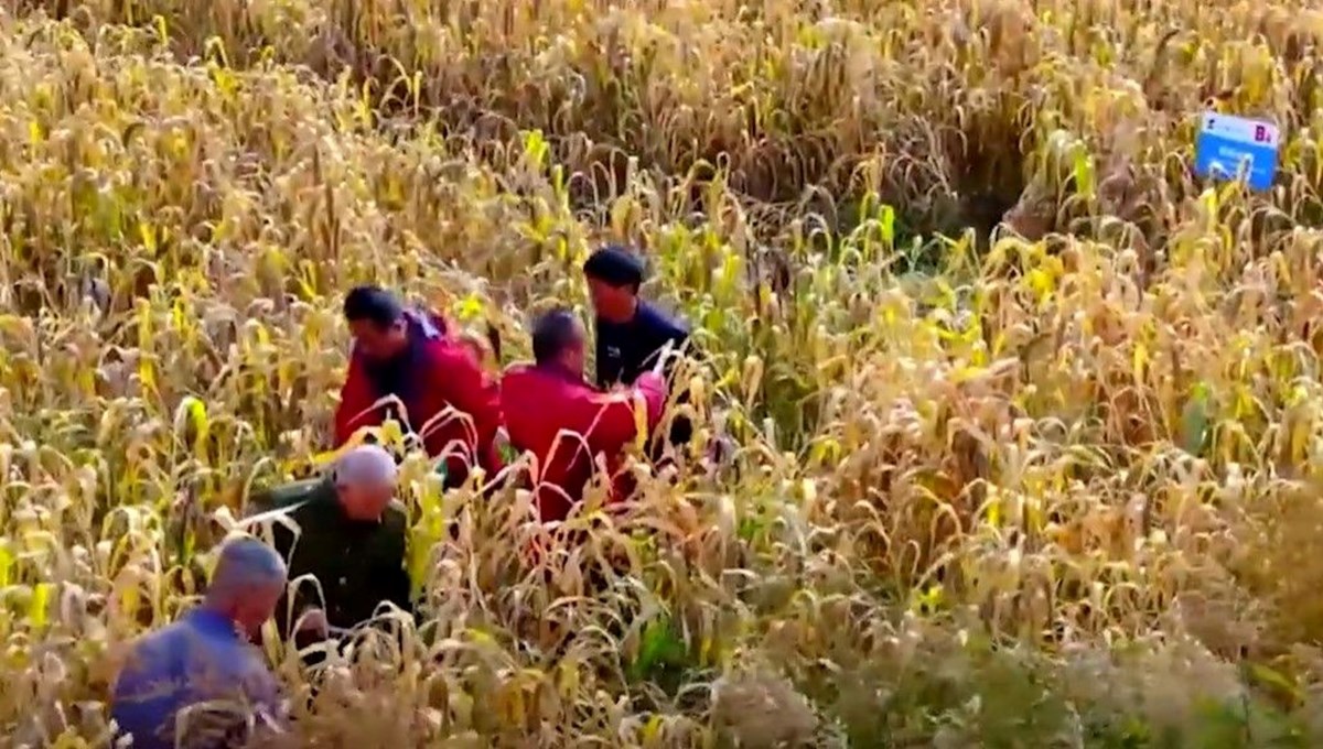 Türkçe'nin 9 bin yıllık izi ve akrabaları