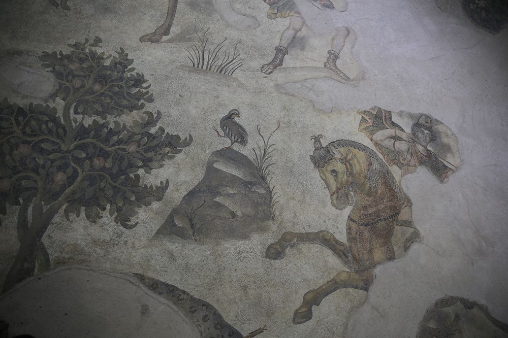 Aşil'in hayatı ve savaşçı Amazon kadınlarının mozaikleri Şanlıurfa'da - 8