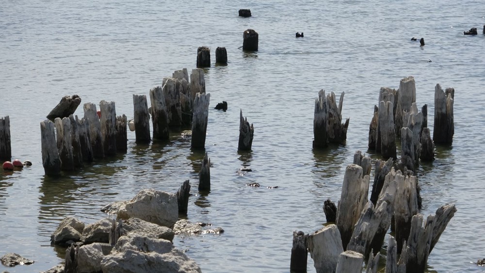 Van
Gölü’nde suyun çekilmesi ile yüz yıllık iskele ortaya çıktı - 3