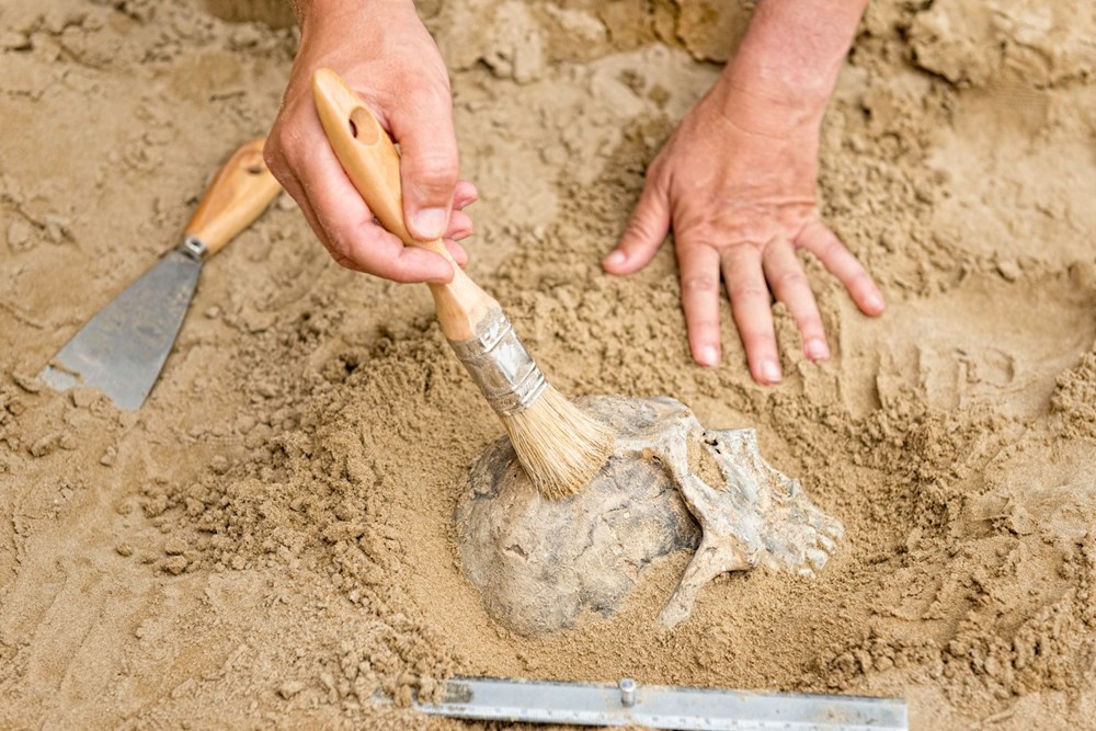 İklim değişikliği on binlerce yıl önce Neandertalleri yok etti - 2