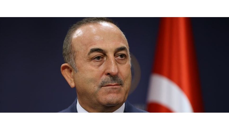Çavuşoğlu'na Japon devlet nişanı