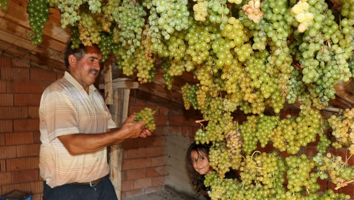 Torosların yeşil altını: Rengini güneşten değil, gölgeden alıyor