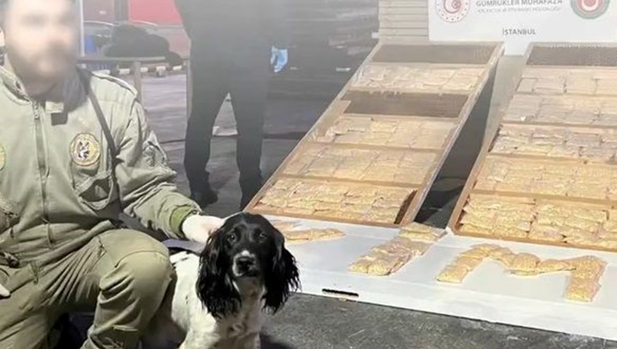 Ambarlı Limanı ve Gürbulak Gümrük Kapısı’nda uyuşturucu operasyonu Ambarlı Limanı ve Gürbulak Gümrük Kapısı’nda uyuşturucu operasyonu