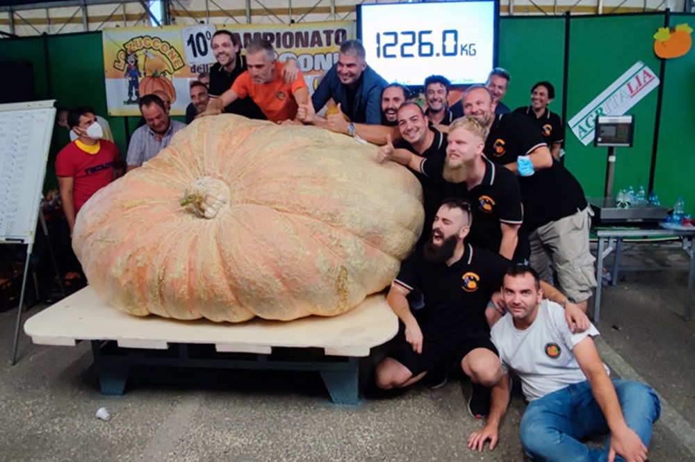 Araba ağırlığında: Dünyanın en büyük bal kabağı Guinness rekorlarına girdi - 2