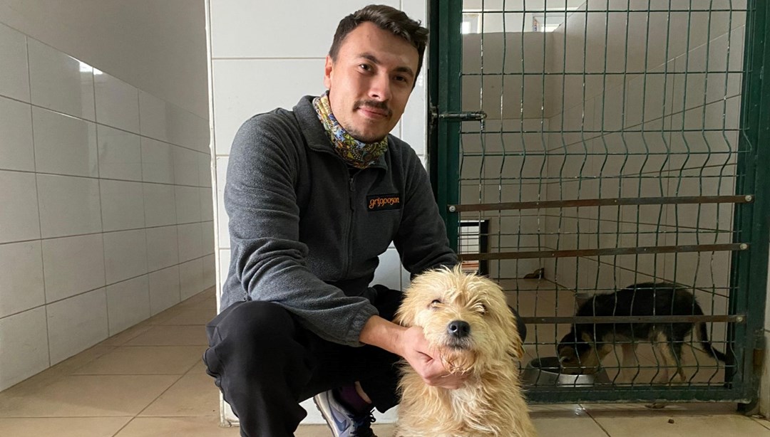 Sahipsiz köpeğe tümör ameliyatı