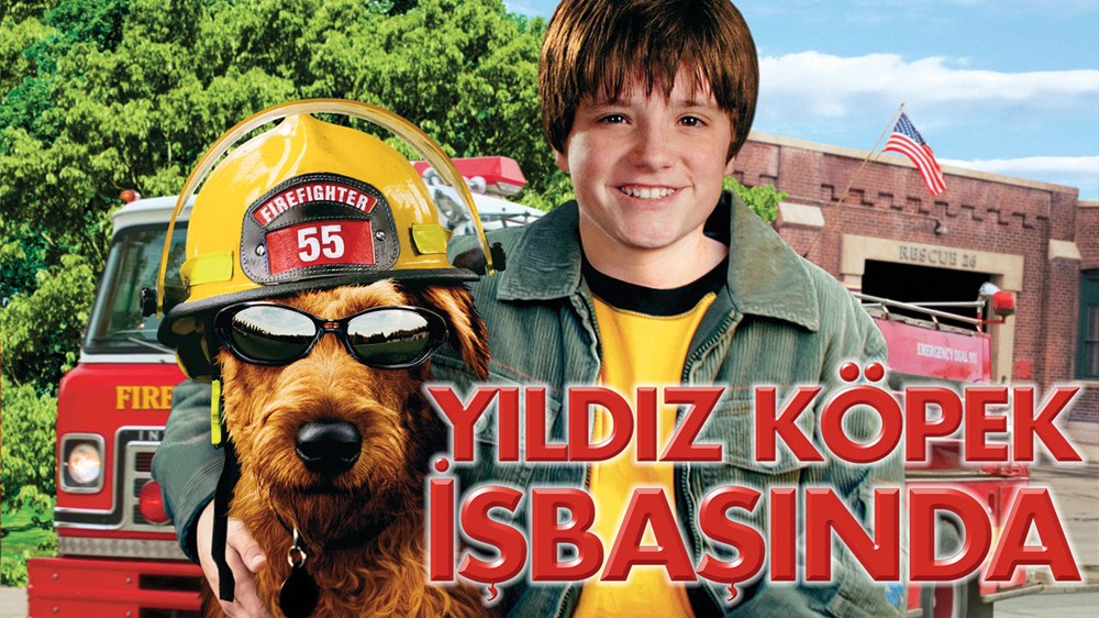 Köpek sevenler için Netflix�ten en iyi köpek dizi ve filmleri NTV
