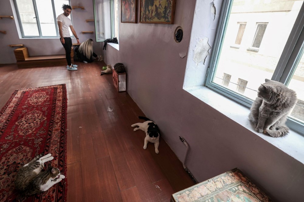 İran'da kedi kafe açıldı: Ziyaretçilerden yoğun ilgi - 10