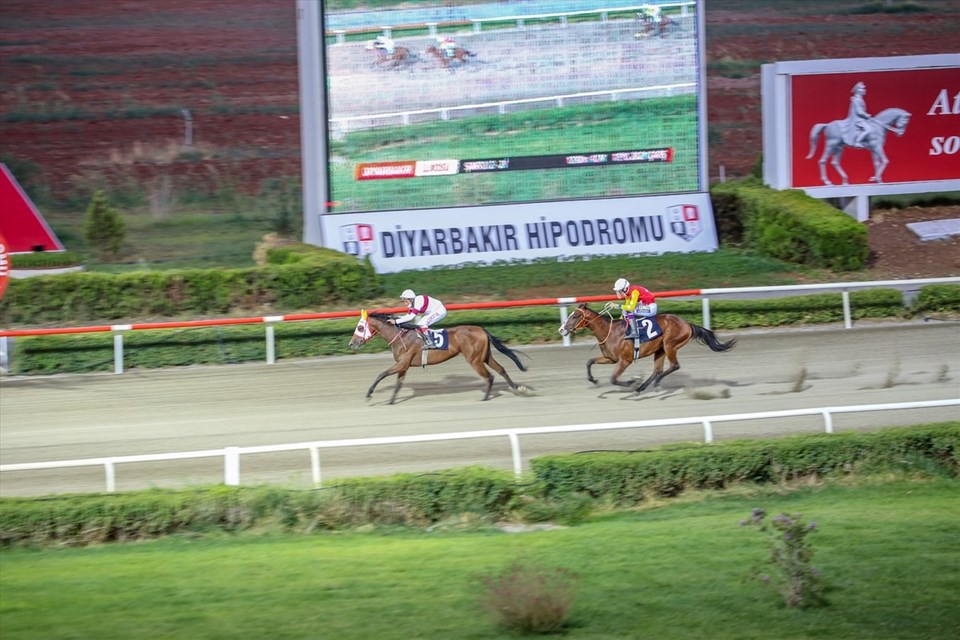 Diyarbakır Hipodromu'nda gece yarışları başladı - 2