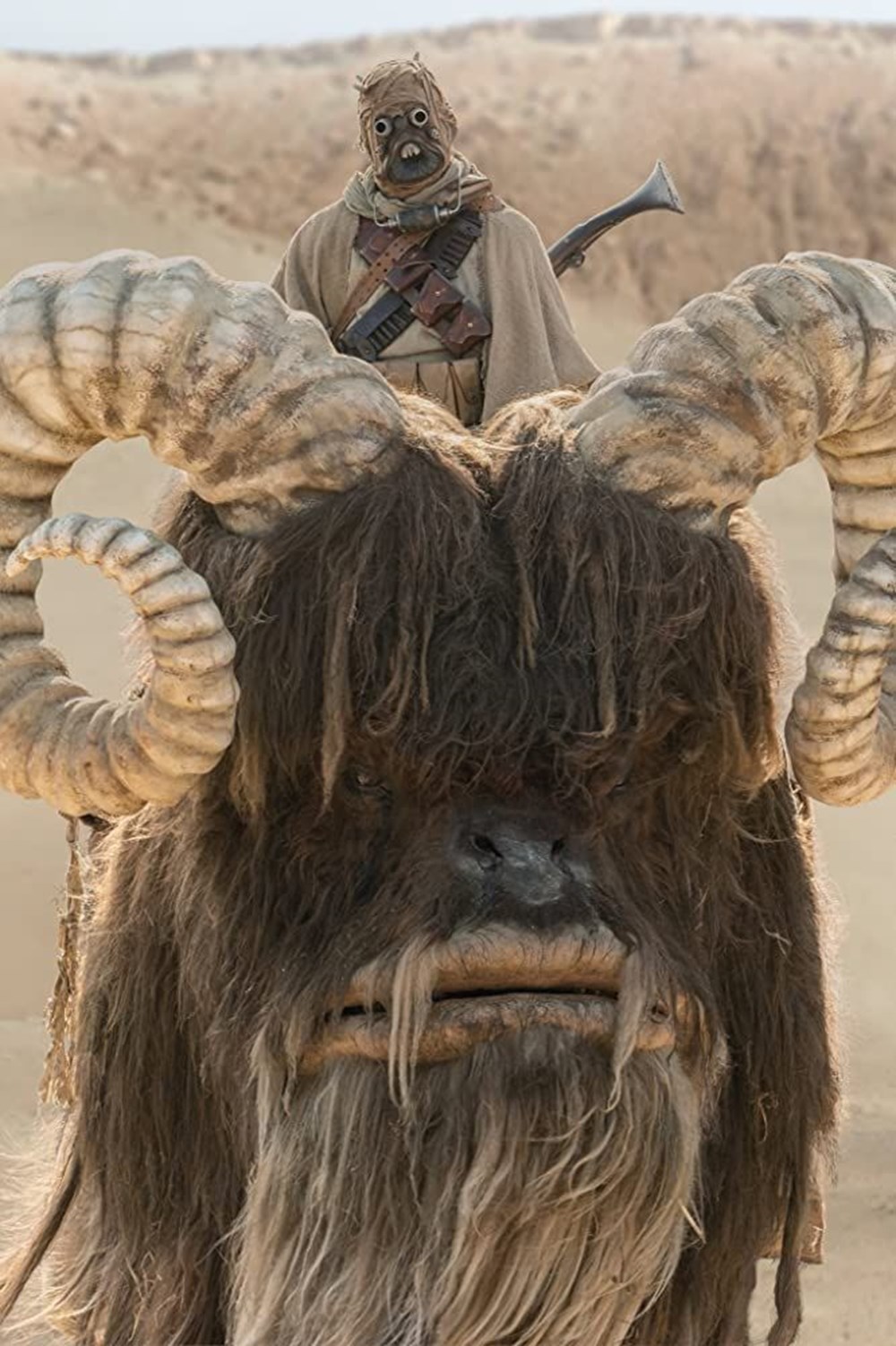 The Mandalorian'ın 2. sezonundan ilk görseller - 2