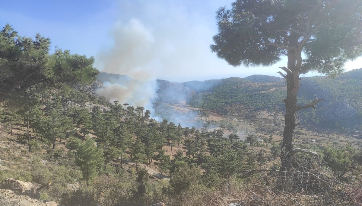 Mersin'de orman yangını Mersin'de orman yangını