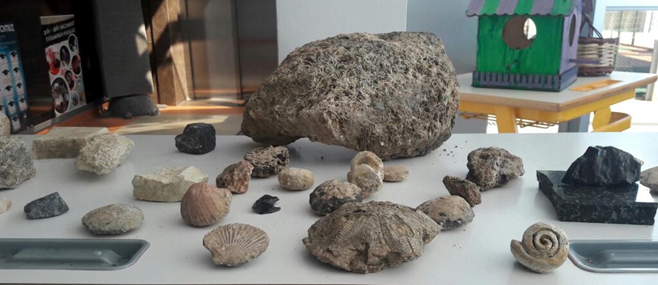 Antalya'da 15 milyon yıllık deniz canlısı fosilleri bulundu - 2