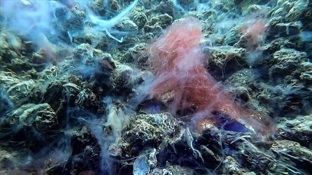 Müsilaj Marmara'yı sardı: ODTÜ'lü bilim insanları uyardı 72 2CeREUCyckywDoc31F5ecA