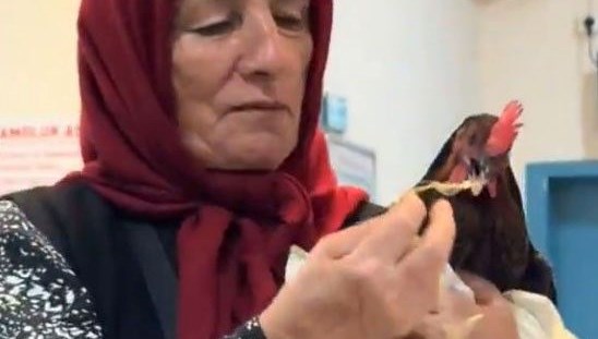 Hastanede 'tavuk' operasyonu
