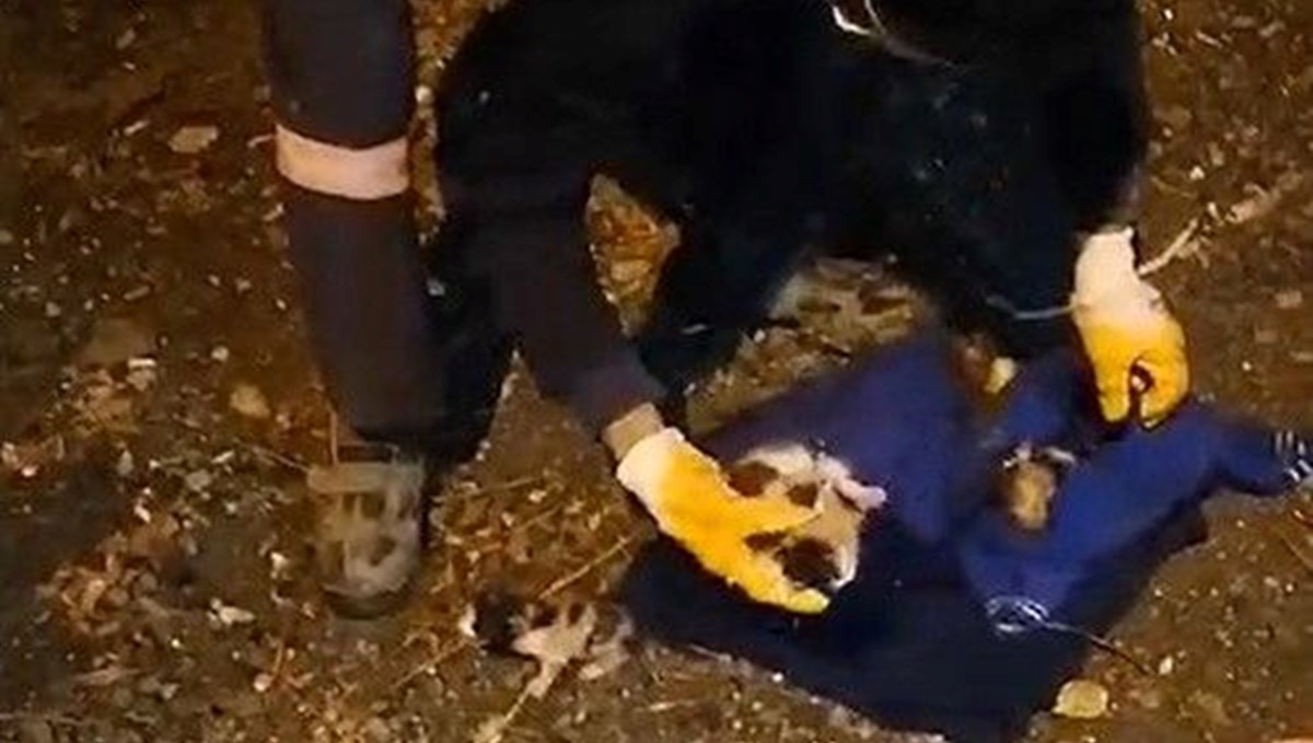 Yavru kedileri çöp kutusuna attılar Yavru kedileri çöp kutusuna attılar