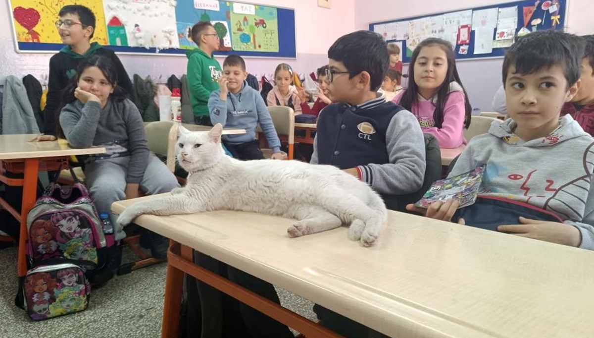 ''Çakıl'' okulun maskotu oldu ''Çakıl'' okulun maskotu oldu