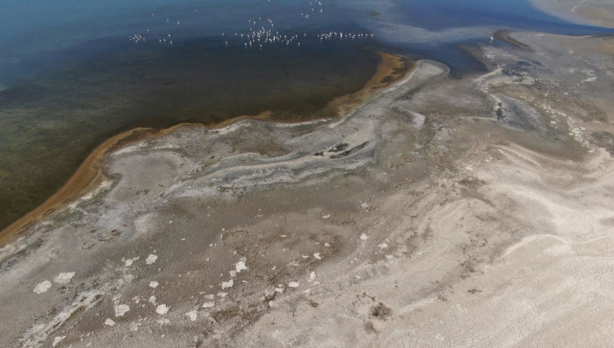 Son 30 yılda büyük çekilme yaşadı: Her geçen yıl biraz daha küçülüyor