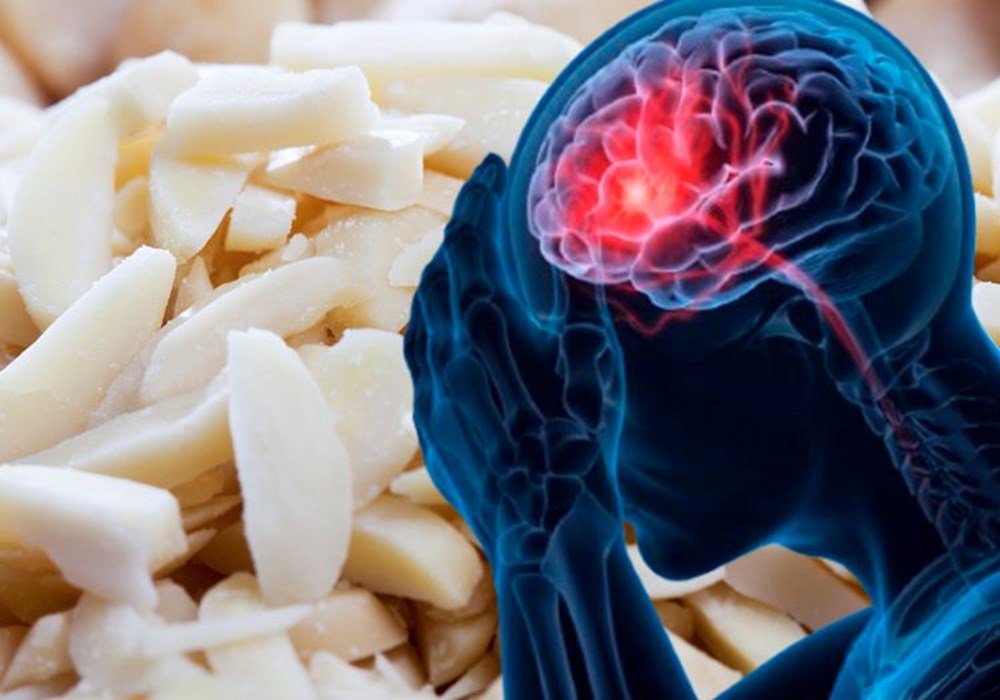 Hafızayı geliştirmede işe yarayan 3 besin: Beyni iyileştirip, Alzheimer riskini azaltıyor - 1