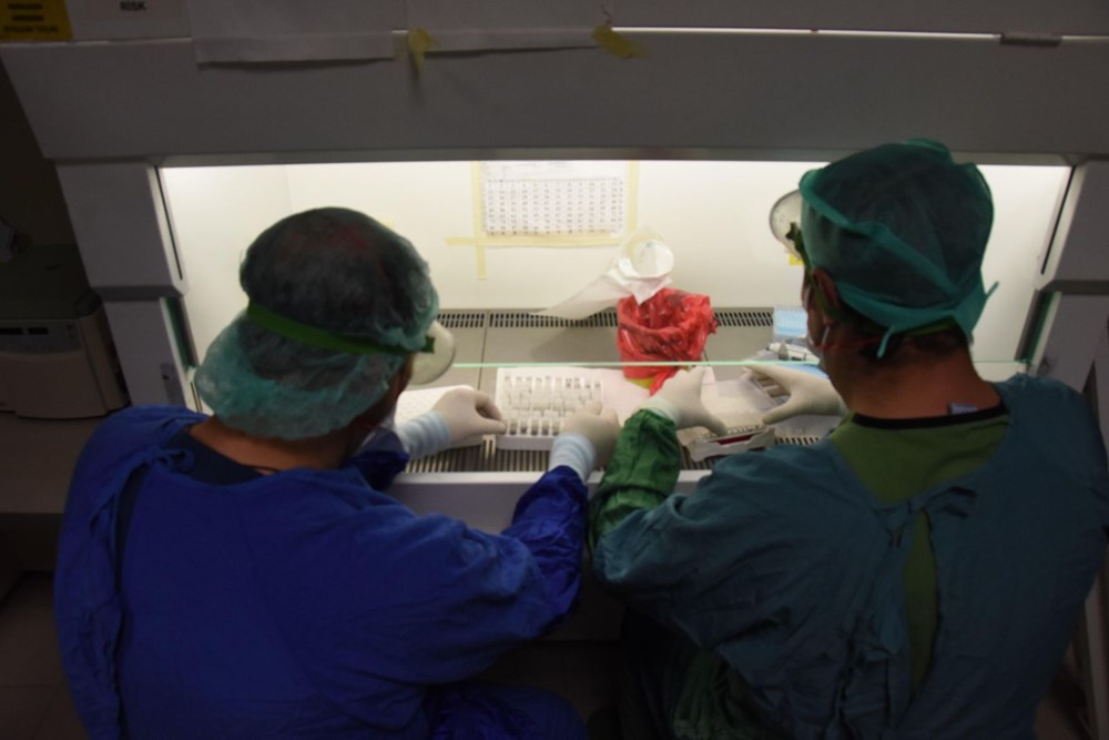 Mutated corona virus cases are detected in 40 minutes - 3