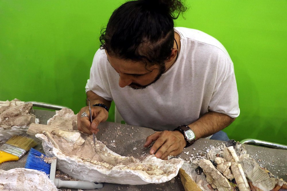 7,5 milyon yıllık fosiller Türkiye'nin ilk ve tek Paleontoloji Müzesi'nde - 3