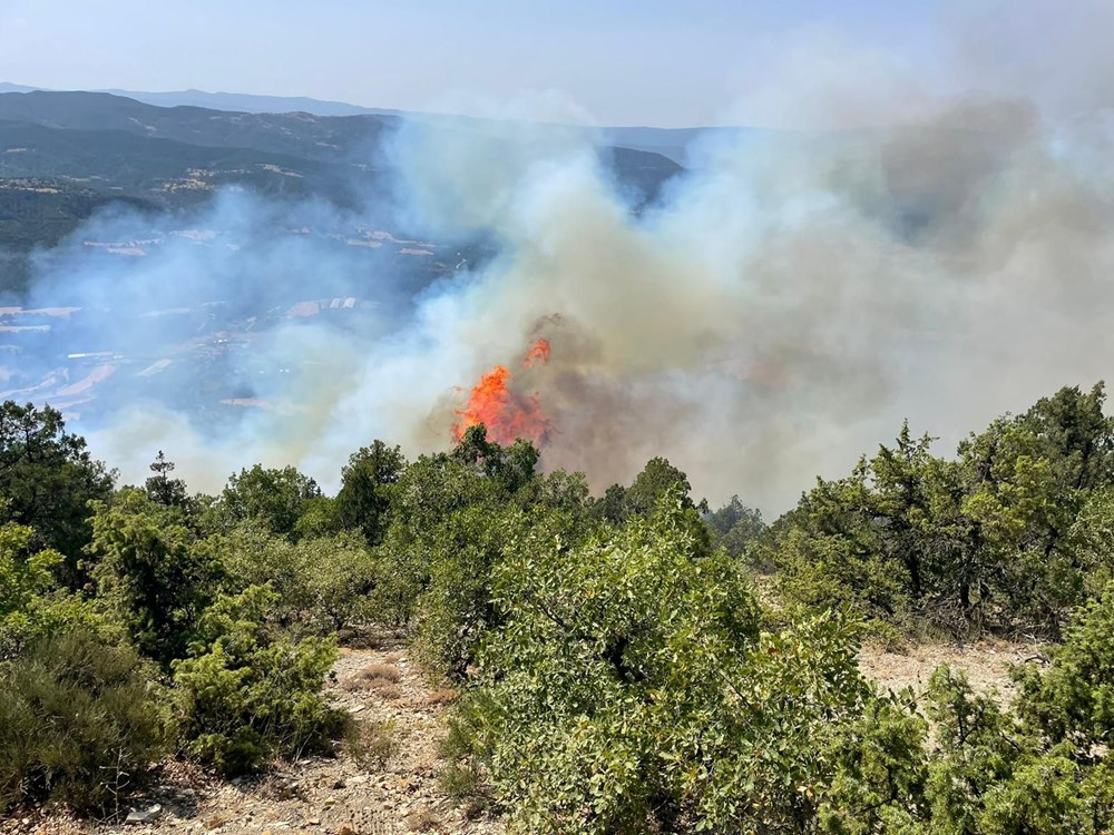 Bolu, Antalya ve Denizli’de orman yangını - 1