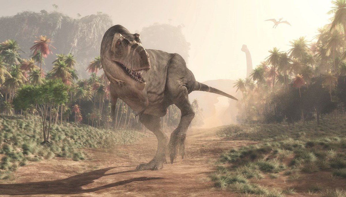 Arjantin'de kolsuz dinozor türü keşfedildi